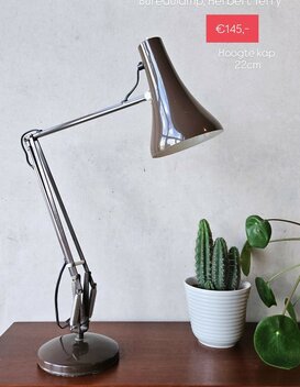 Staande bureaulamp Herbert Terry