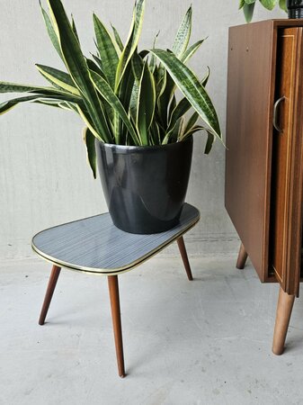 Vintage plantentafeltje