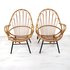 Vintage rotan setje